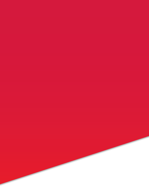 YLH