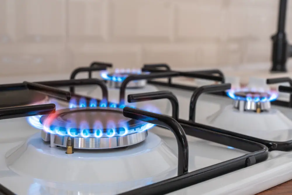 lpg gas supplier in singapore